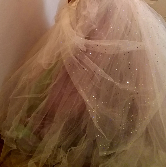 CECILIA Ivory Lace Tulle Wedding Ballgown Set - Picture 4 of 14